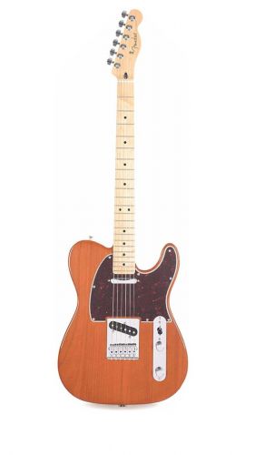 Elektrinė gitara Fender LTD Player Telecaster MN AGN