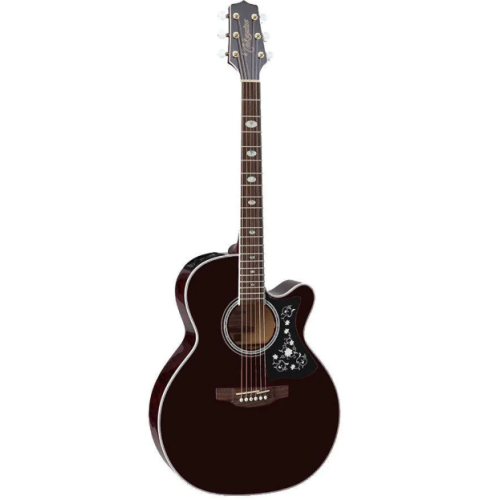  Electro acoustic guitarTakamine GN75CE WR