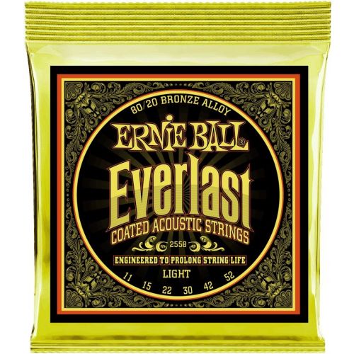 Ernie Ball Everlast 2558