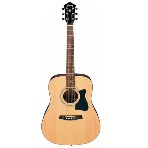 Acoustic guitar set Ibanez V50NJP-NT