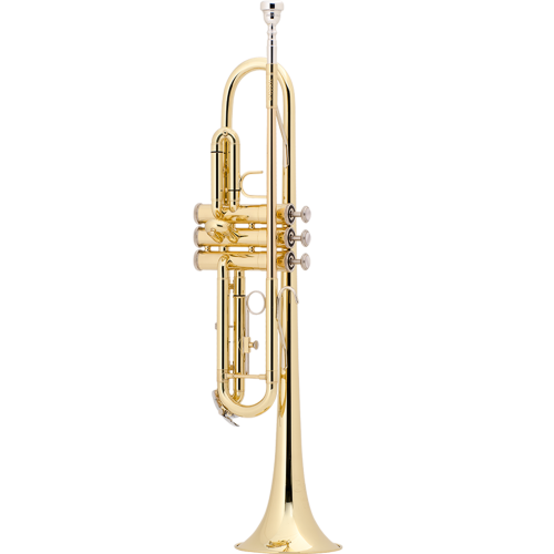 Trumpet Bach TR305BP
