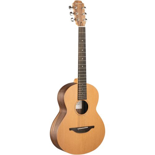 Acoustic guitar Sheeran by Lowden W01
