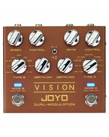 JOYO R-09 Vision