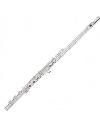 Flute Trevor James 31PF-ROE