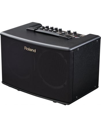 Acoustic instrument combo Roland AC-40