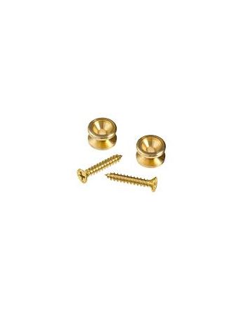 D'Addario Solid Brass End Pins PWEP302