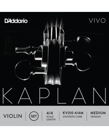 Stygos smuikui D'addario Kaplan Vivo Violin Set 4/4 Medium